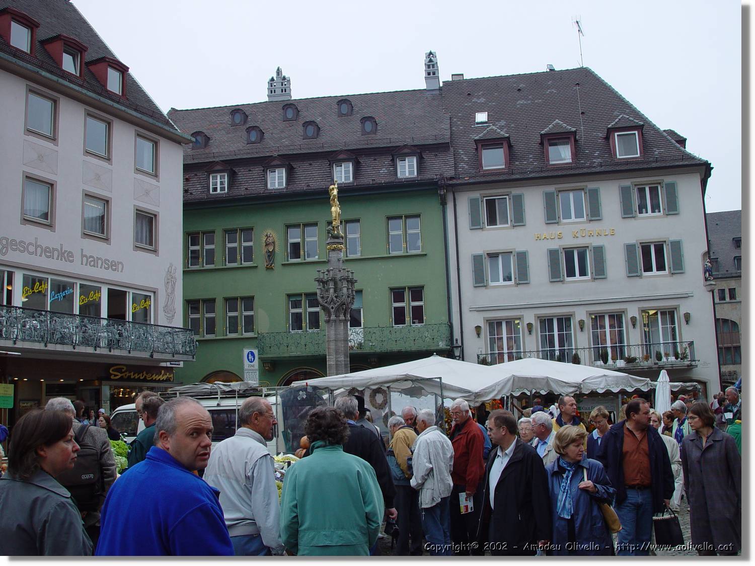 SW_Wald_054.jpg
