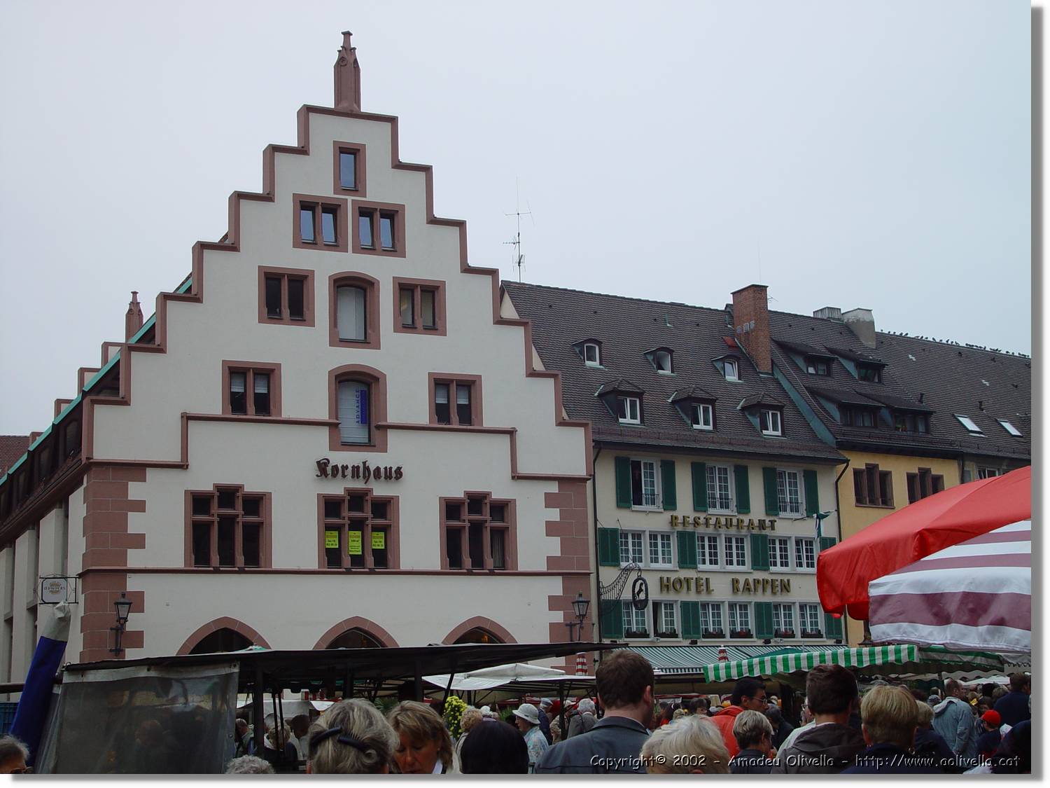 SW_Wald_062.jpg