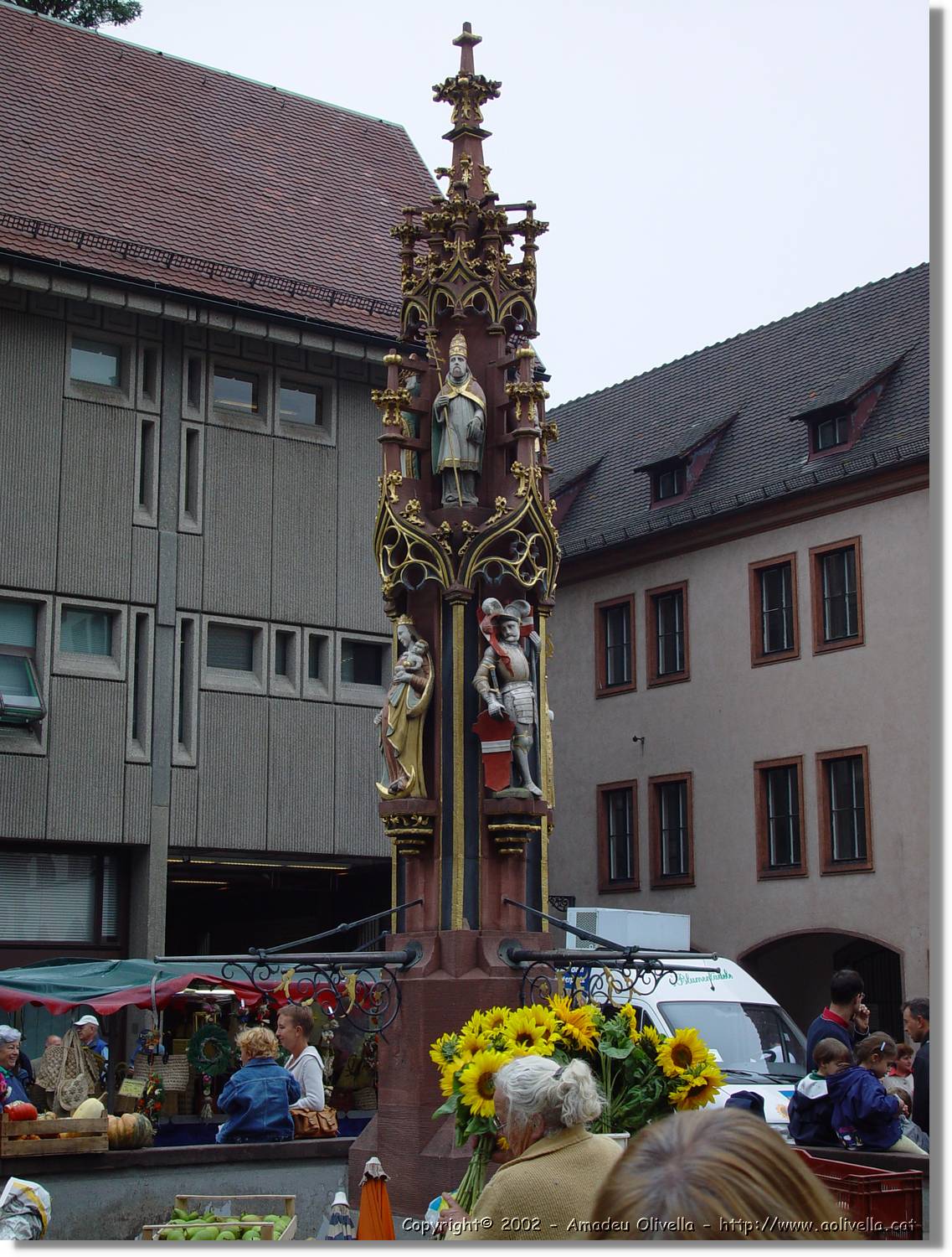 SW_Wald_063.jpg