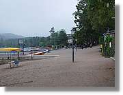 SW_Wald_043.jpg