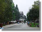 SW_Wald_044.jpg