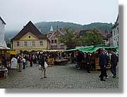 SW_Wald_045.jpg