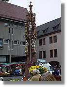 SW_Wald_063.jpg