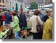 SW_Wald_066.jpg