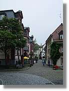 SW_Wald_080.jpg
