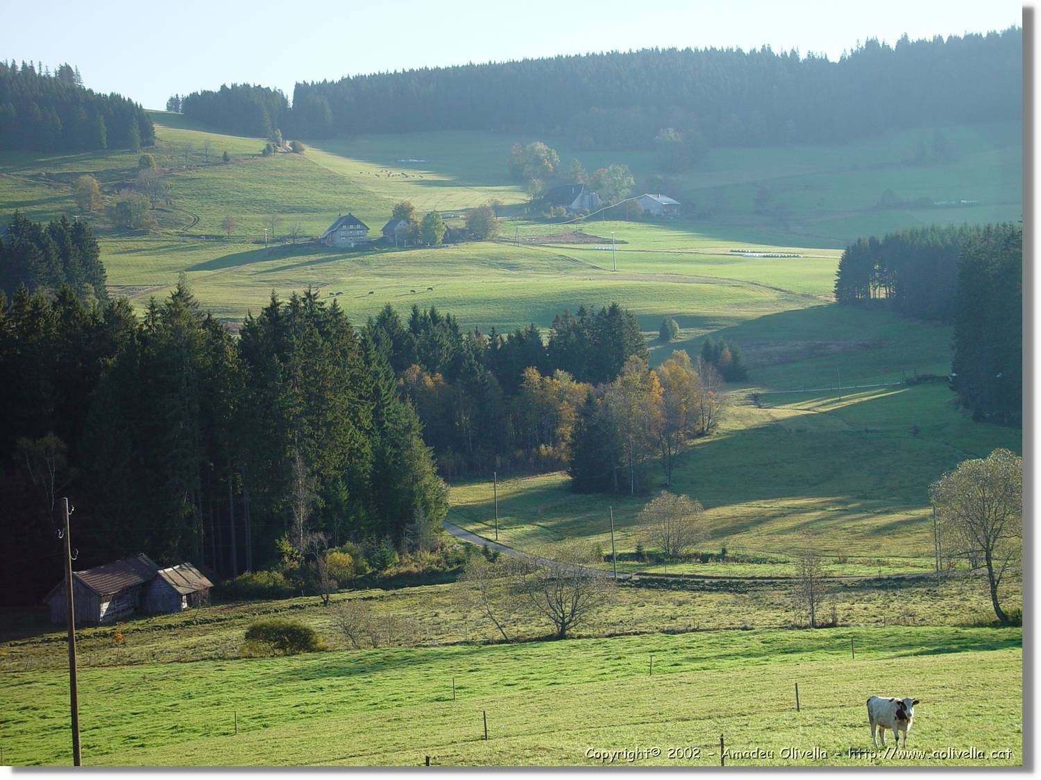 Tardor_018.jpg