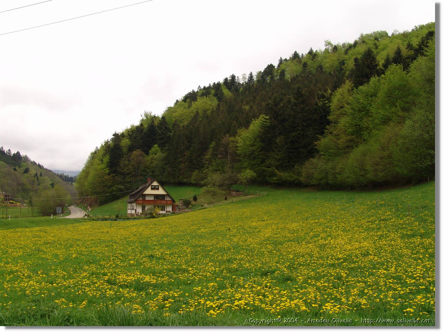 Alemanya_002.jpg