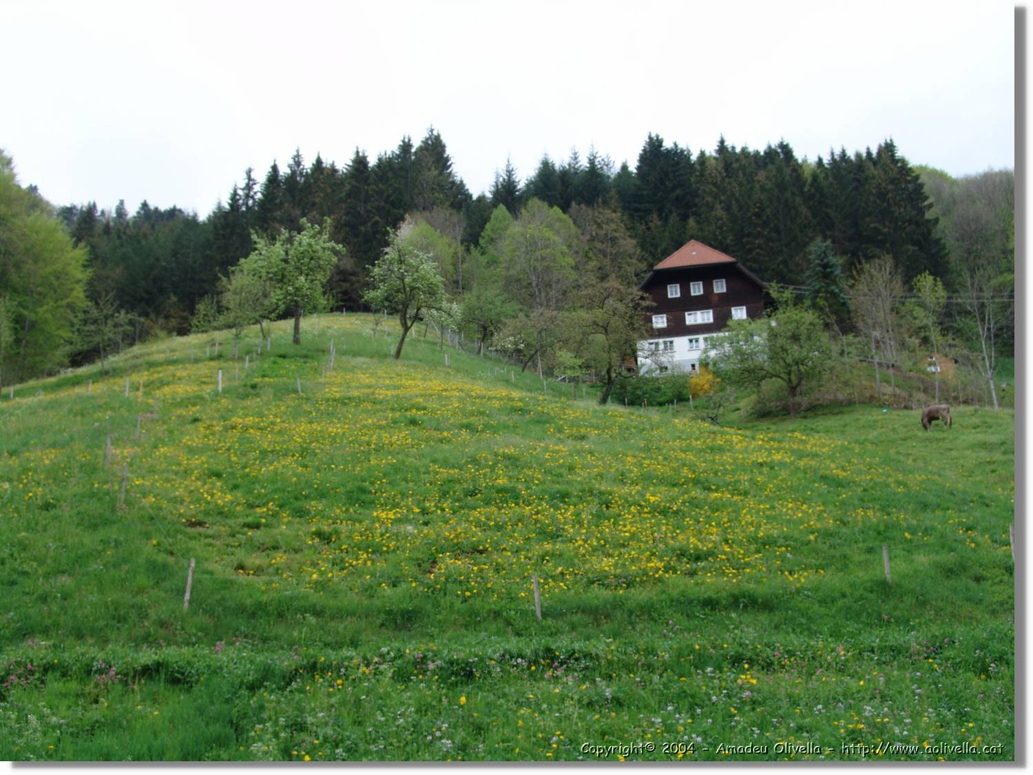 Alemanya_004.jpg