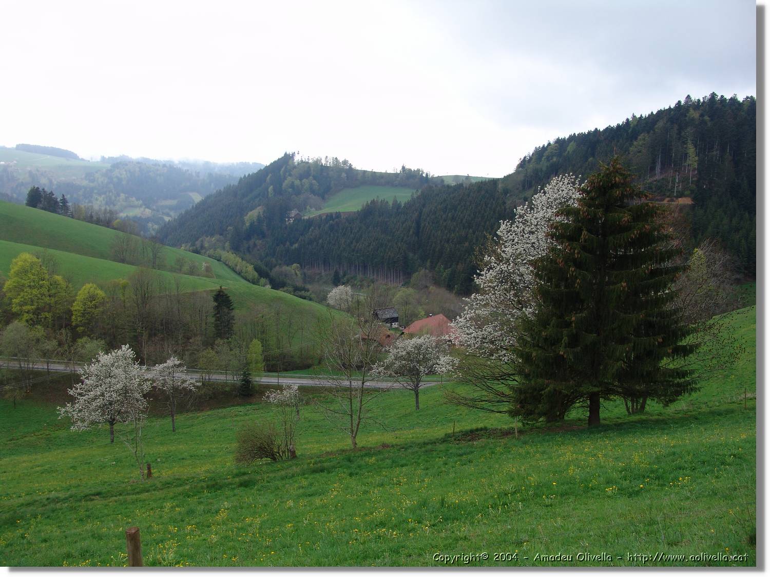 Alemanya_006.jpg