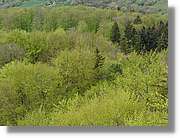 Alemanya_169.jpg