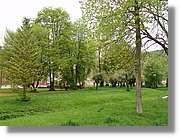 Alemanya_267.jpg