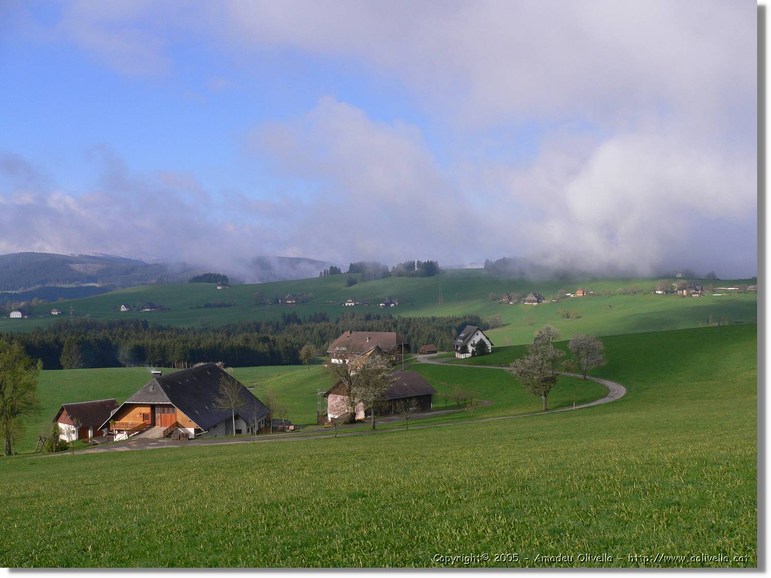 2Breitnau_34.jpg