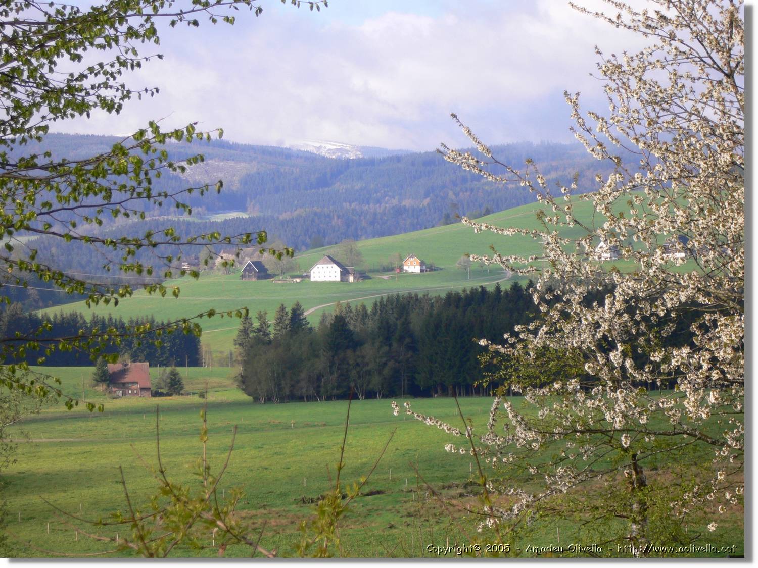 2Breitnau_37.jpg