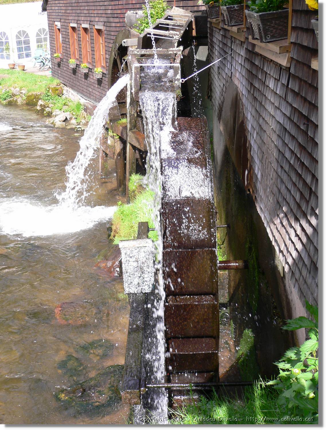 3SWald_04.jpg