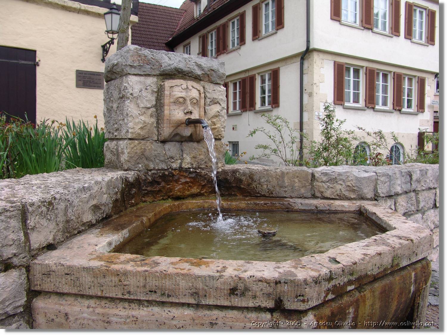 5BaUrach_23.jpg