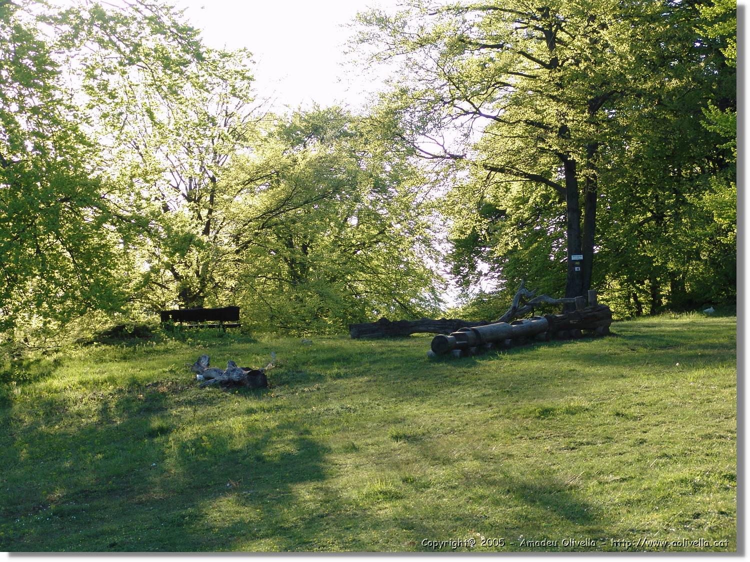 8SwAlb_095.jpg