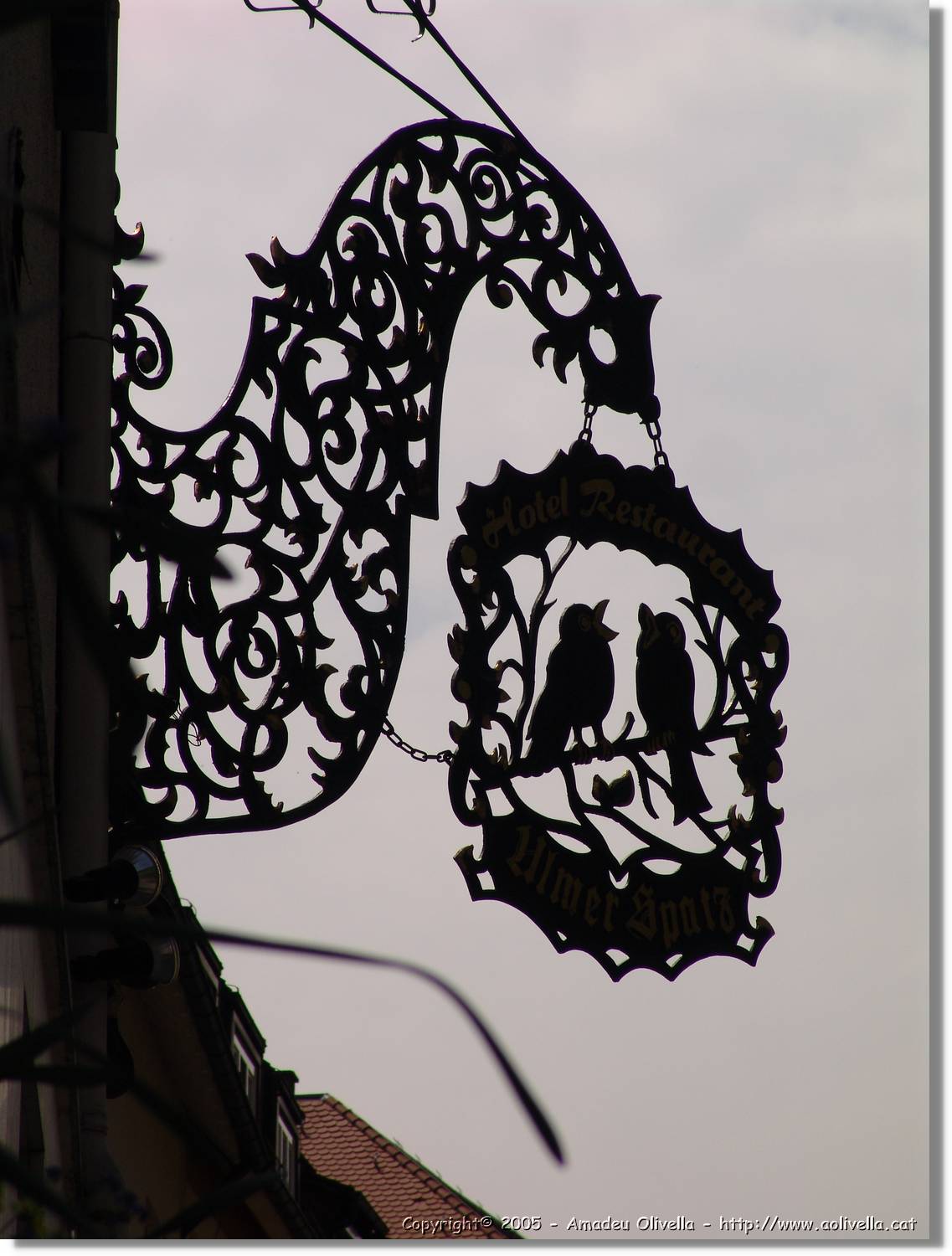 9Ulm_058.jpg
