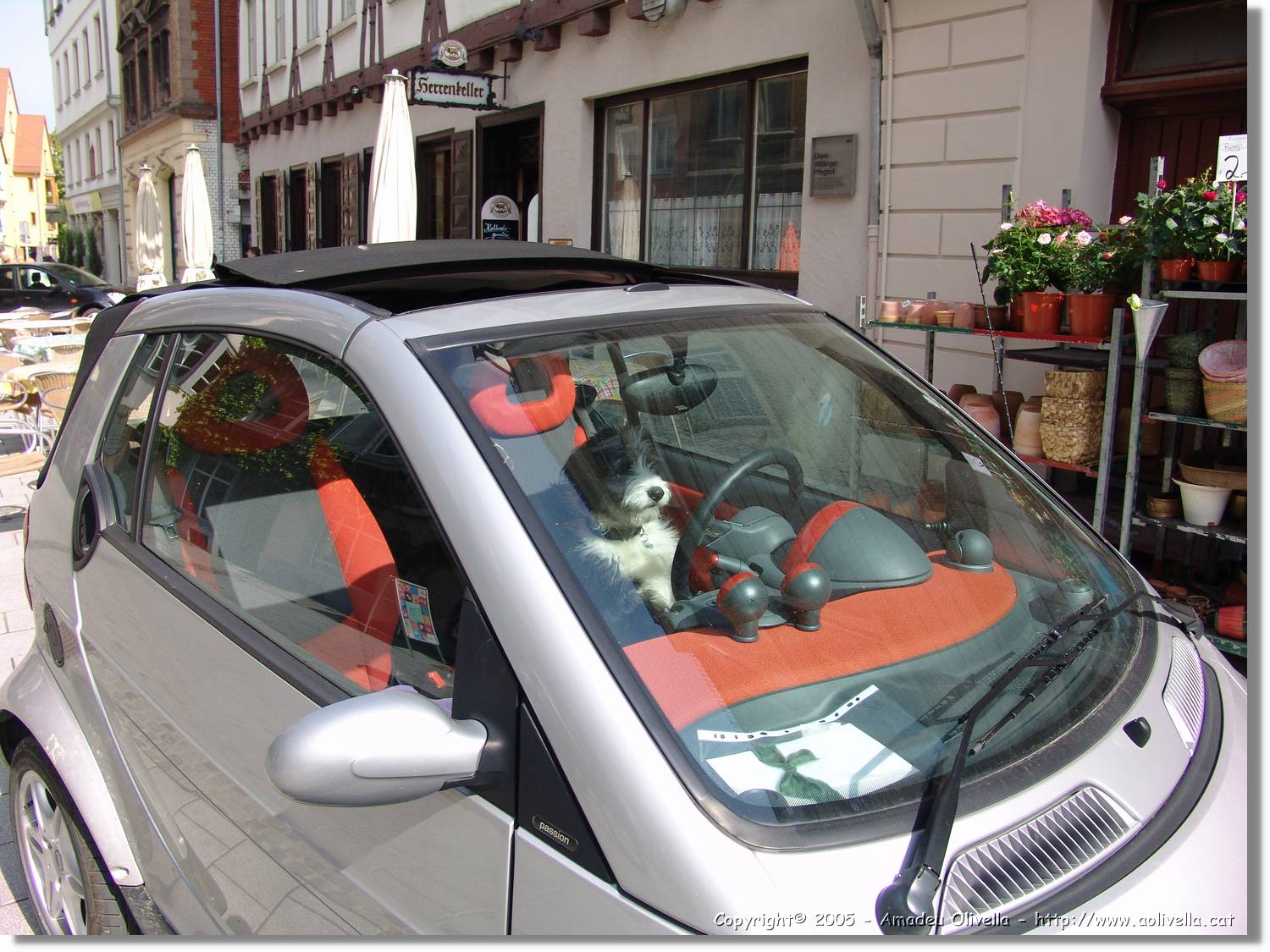 9Ulm_117.jpg