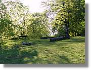 8SwAlb_095.jpg