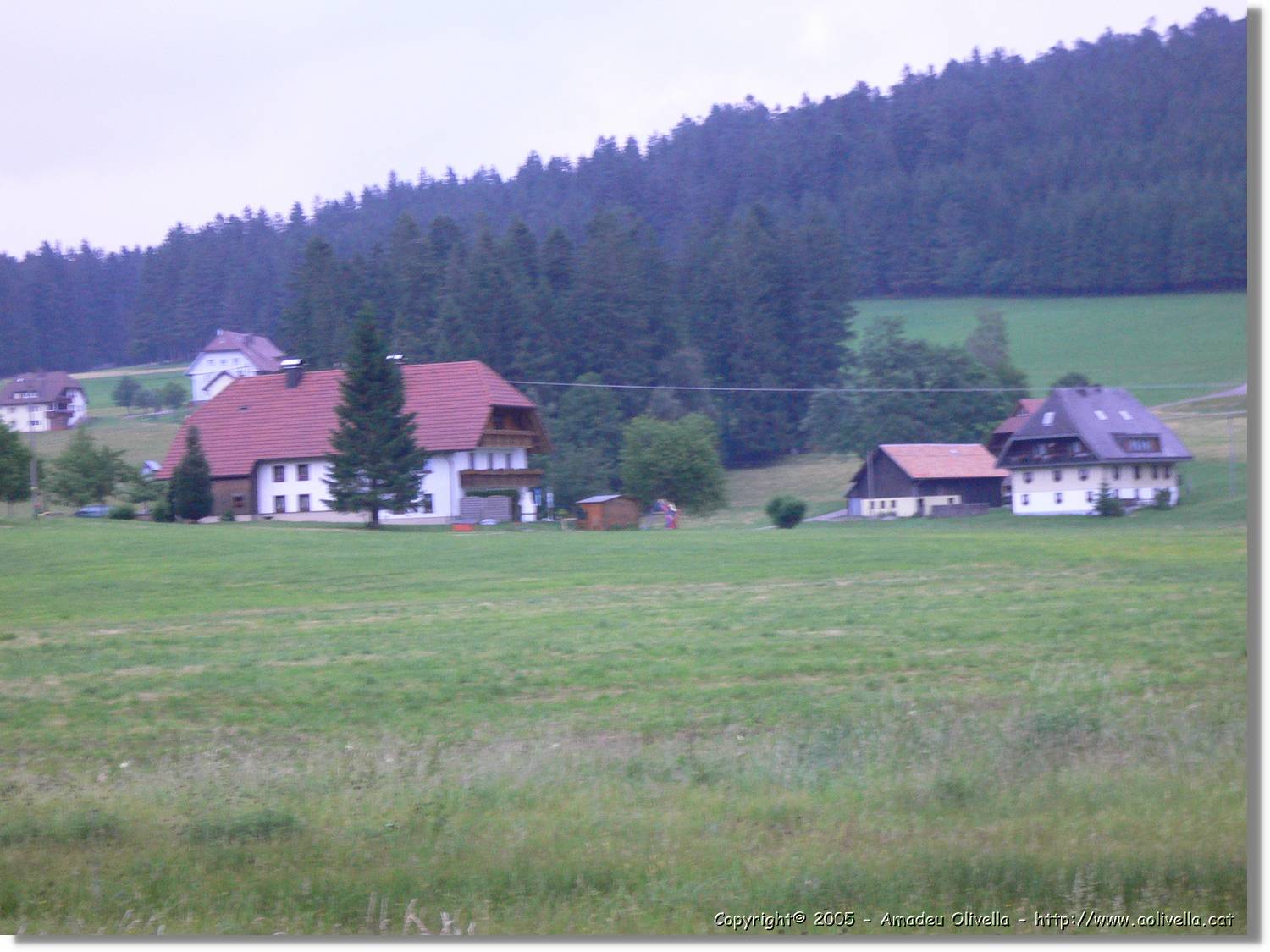 1_SW_11.jpg