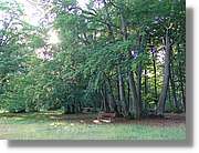 4_HDH_198.jpg
