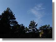 4_HDH_202.jpg