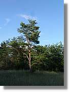 4_HDH_204.jpg