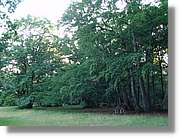 4_HDH_206.jpg