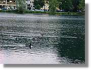 5_Izelberg_208.jpg