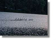5_Izelberg_211.jpg