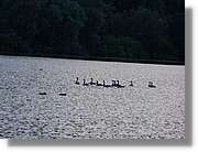 5_Izelberg_212.jpg