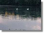 5_Izelberg_218.jpg
