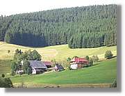 7_SW_276.jpg
