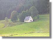 7_SW_278.jpg