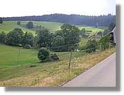 7_SW_281.jpg