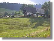 7_SW_282.jpg