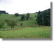 7_SW_286.jpg