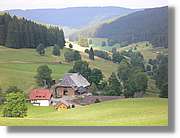 7_SW_290.jpg