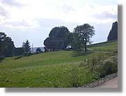 7_SW_298.jpg