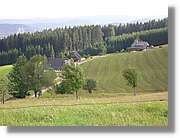 7_SW_299.jpg