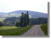 7_SW_301.jpg