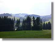 7_SW_302.jpg
