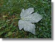 7_SW_303.jpg