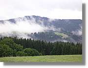 7_SW_305.jpg