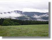 7_SW_306.jpg