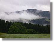 7_SW_308.jpg