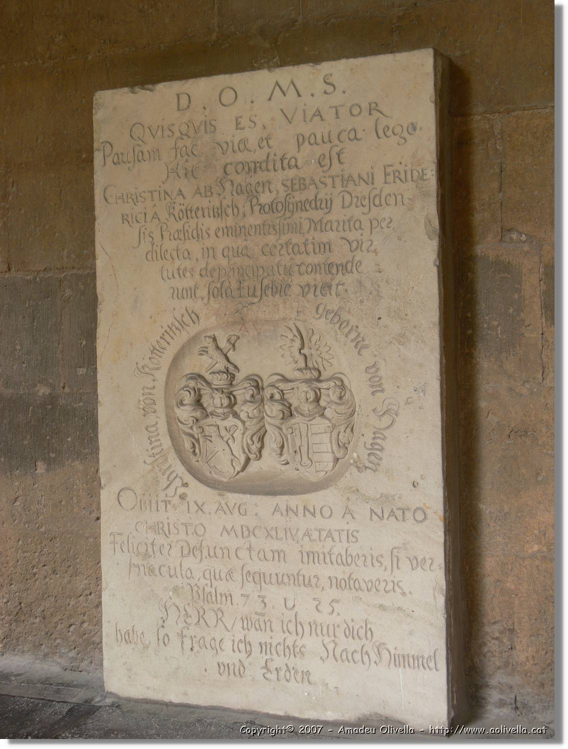 Naumburg_024.jpg