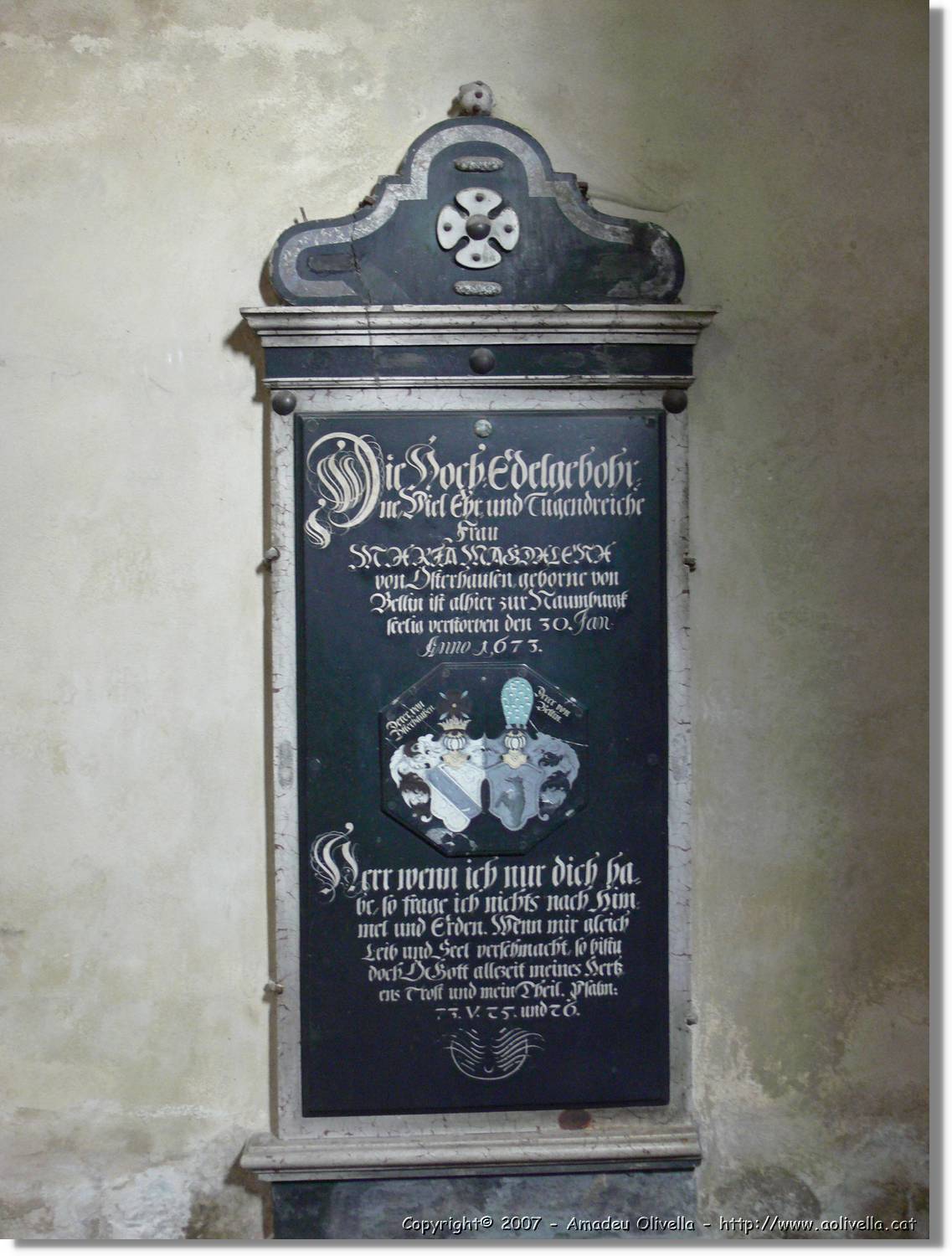 Naumburg_065.jpg