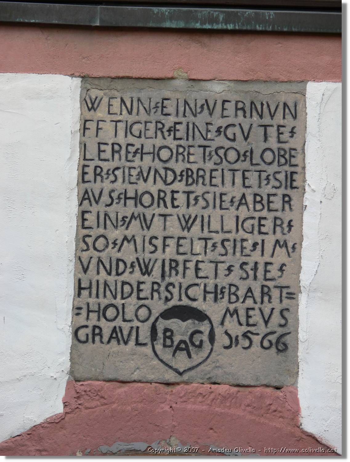 Naumburg_113.jpg