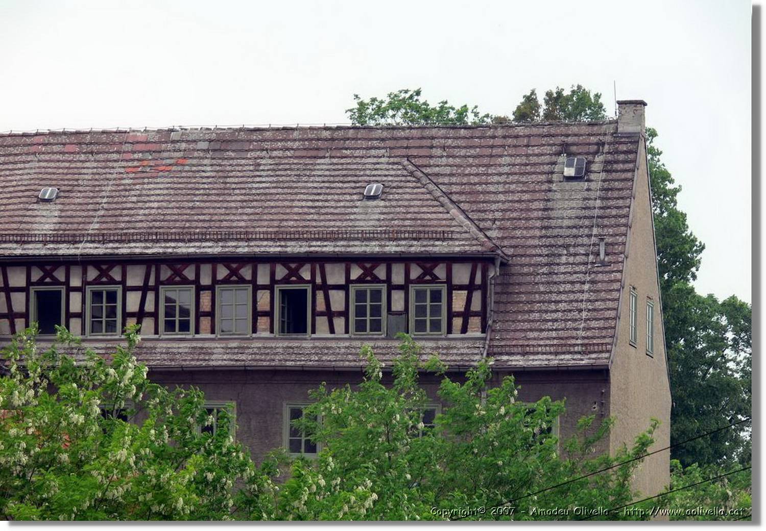 Thüringen_015.jpg